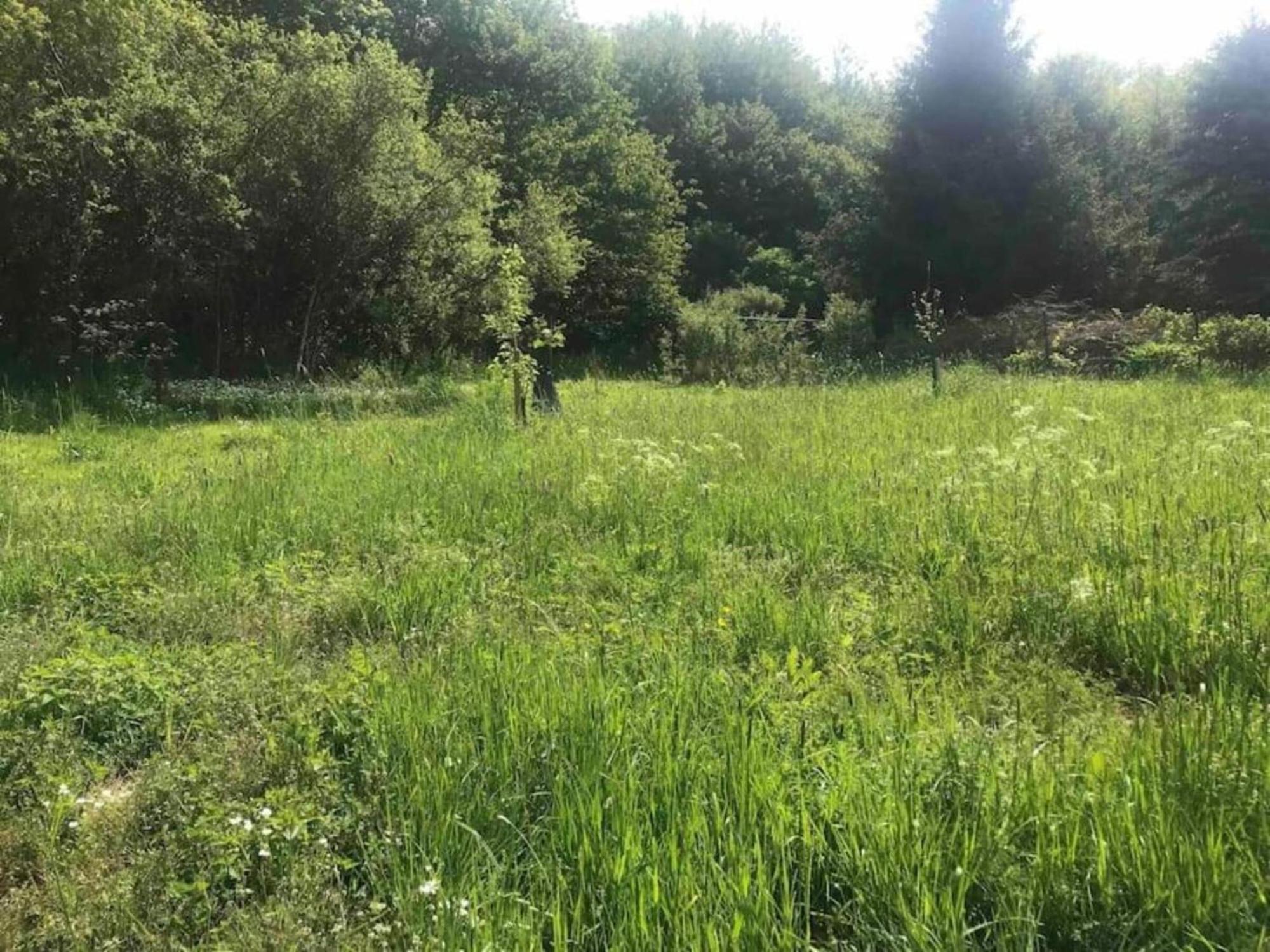Apartment With Garden In A Wooded Setting Auw bei Prum 외부 사진
